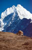 Khumbu2000-051
