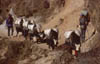 Khumbu2000-058